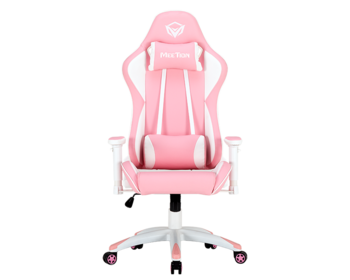 Cute Pink Racing Gaming E-Sport Chair <br> CHR16